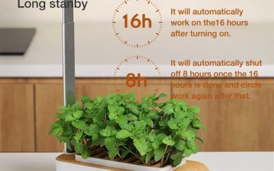 Indoor Herb Garden Kit Review