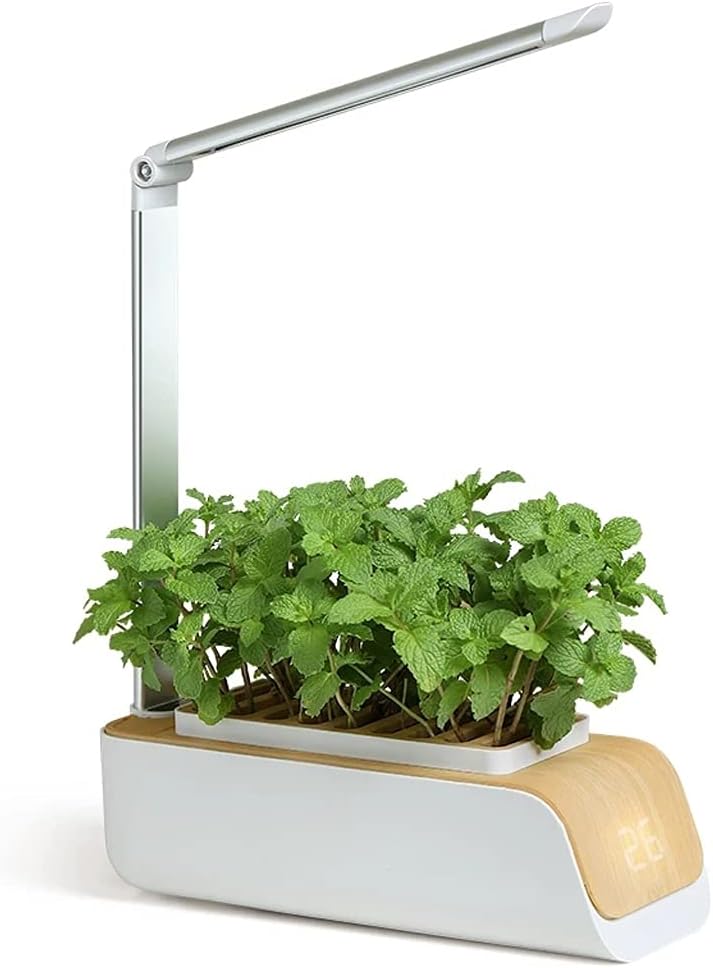 Hydroponics Growing System Indoor Herb Garden Kit with Grow Light Smart Garden for Home and Kitchen Indoor Plant Growing System