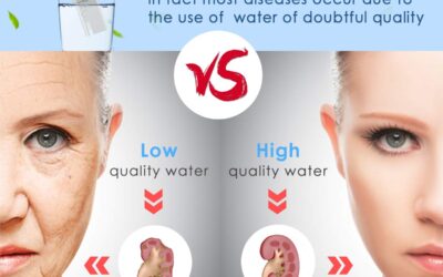 PH Tester 0.01High Accuracy Water Quality Tester Review