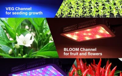 TATU 1000w LED Grow Light Review