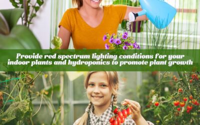 2 Pack LED Grow Lights Review