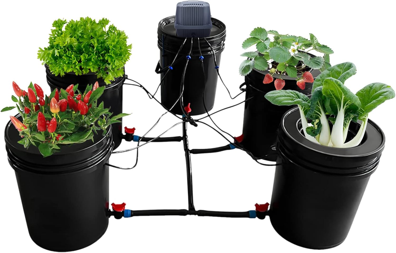 DWC Hydroponics Grow System Kit, 5 Buckets 5 Gallon Recirculating Deep Water Culture Kit with 4 Drip Irrigation Kits, Grow Bucket for Growing Tent Greenhouse, Black