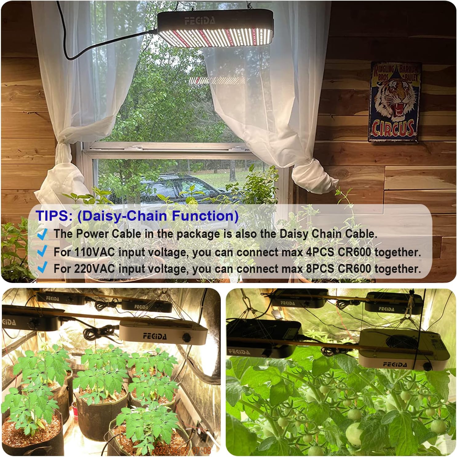 FECiDA LED Grow Light Dimmable 6000 Lumen 65 Watt, 2024 Best Grow Lights for Indoor Plants Full Spectrum, Hanging Seed Starting Seedlings Vegetable Growing Lamps, Daisy Chain Function, Built-in Fan