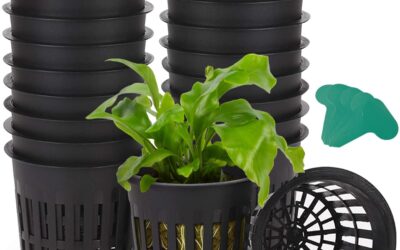 GROWNEER 4inch Net Pots Review