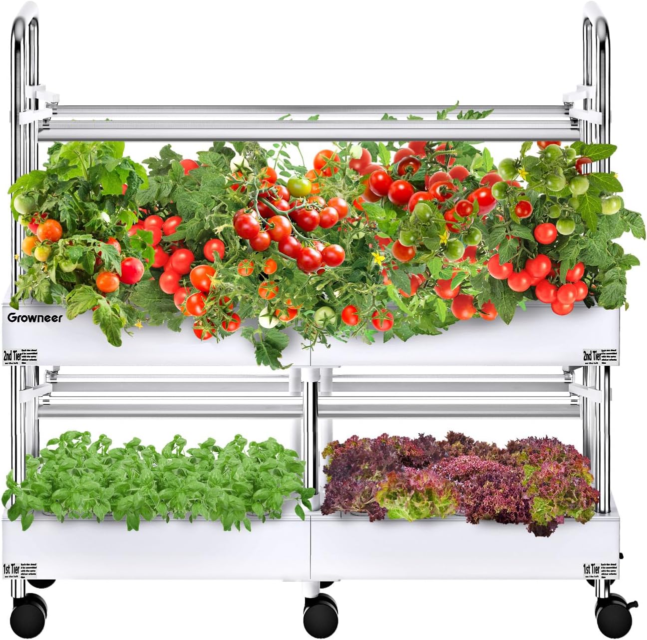 GROWNEER Garden Hydroponics Growing System with 80 Pods, 2 Pumps, LED Grow Light, Smart Socket, Plant Germination Kit Indoor Vertical Herb Garden Kit for Home Aeroponic Vegetable Fruit Growth