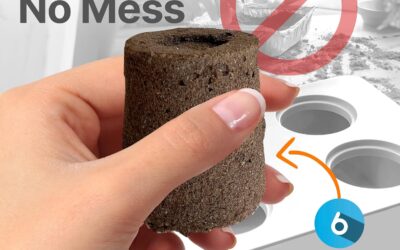 Hydroponic Herb Garden 6 Pods Review