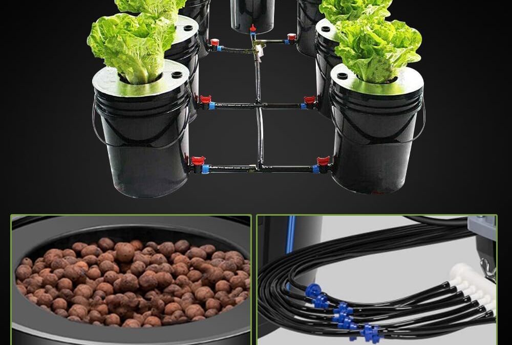 Hydroponic System Review