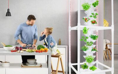 Hydroponic Tower Growing System Review