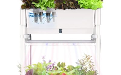 Indoor Herb Garden with LED Grow Light Review