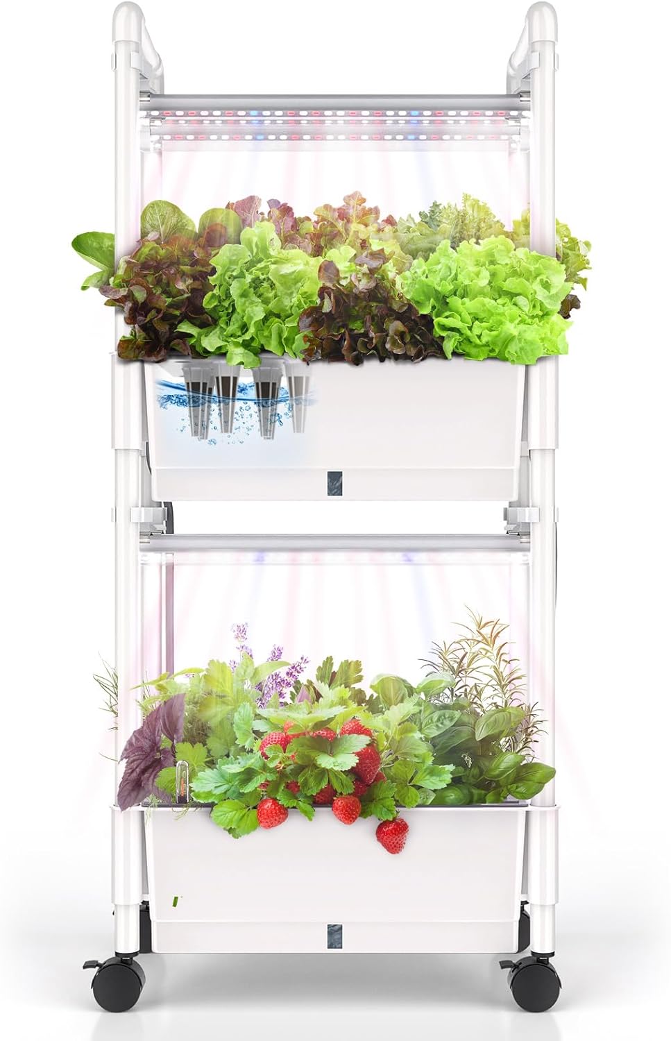 hydroponics Growing System， Indoor herb  Vegetables Garden with LED Grow Light，Plants Germination Kit，Automatic Timer，Pump System，Adjustable Height（No Seed） (2 Layers 28 Pods)