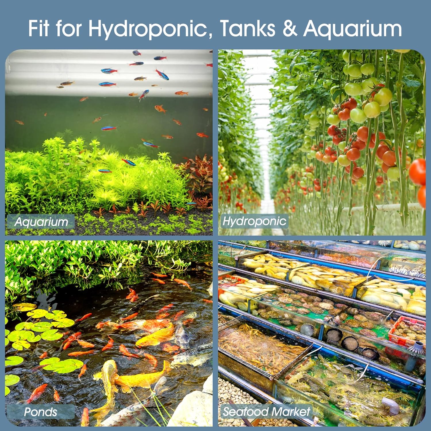 hygger Air Stones for Aquariums, Transparent Acrylic Fish Tank Bubbler Kit with Air Tube, Ultra Silent Bubble Stone Super-High Dissolved Oxygen Diffuser for Aquarium Fish Tank and Hydroponic