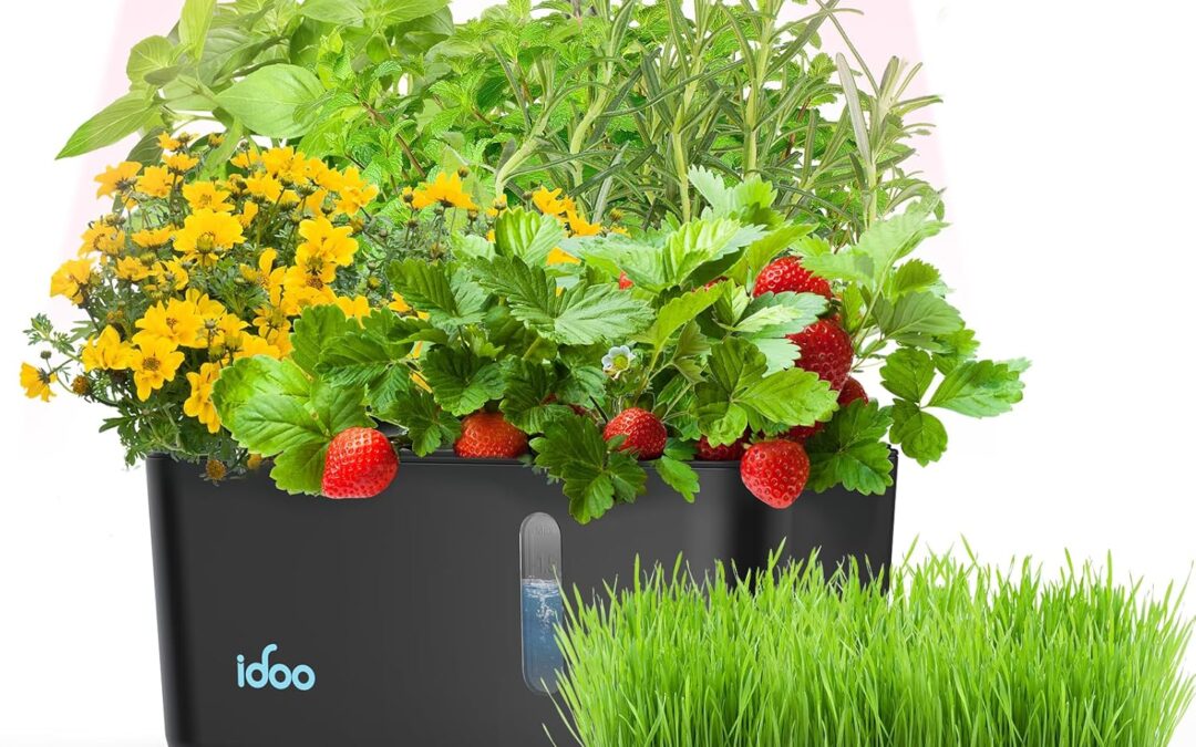 5-Pod Mini Indoor Herb Garden Review