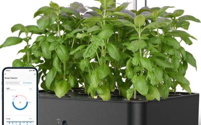 iDOO WiFi 12 Pods Hydroponics Growing System Review