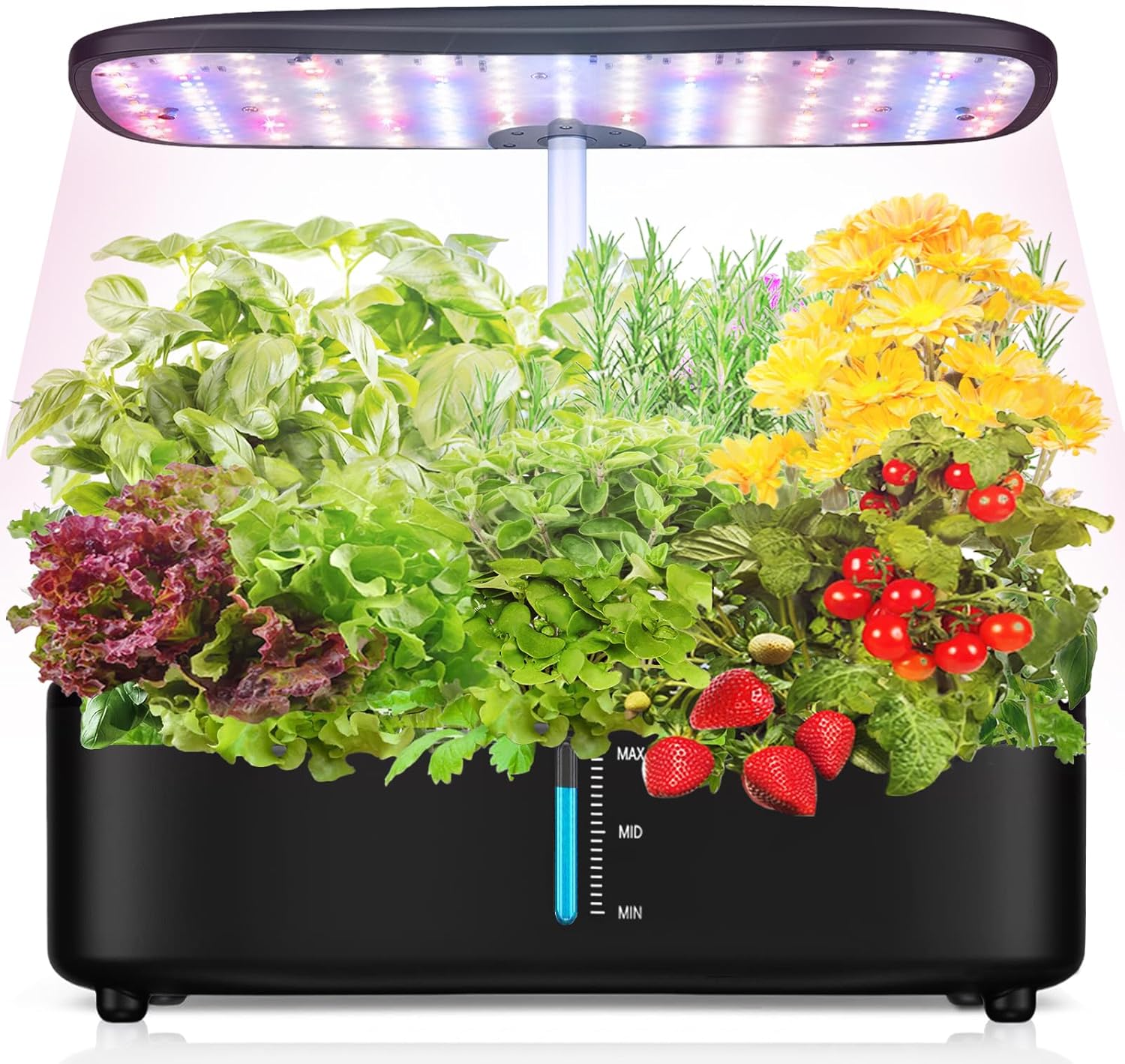 Indoor Garden Hydroponics Growing System Kit 12Pods, Vegetable Growth Lamp Countertop with LED Grow Light - Hydrophonic Planter Grower Harvest Veggie Lettuce, Herb Garden