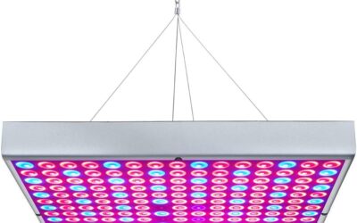 LED Grow Light 75W UV IR Review