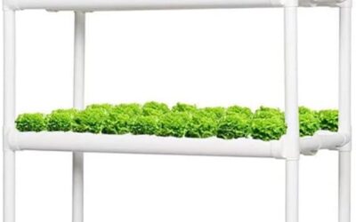 Lyfreen 4 Layers Hydroponics System Review