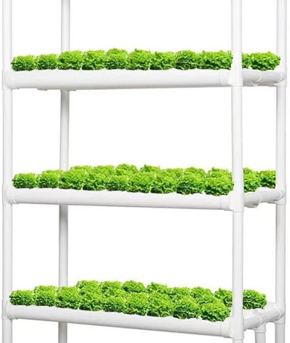 Lyfreen 4 Layers Hydroponics System Review