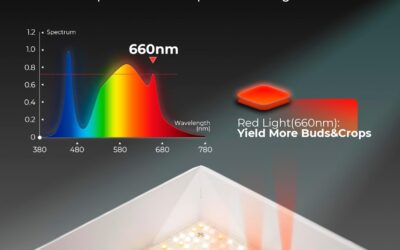 MARS HYDRO 2024 New TS1000 Review