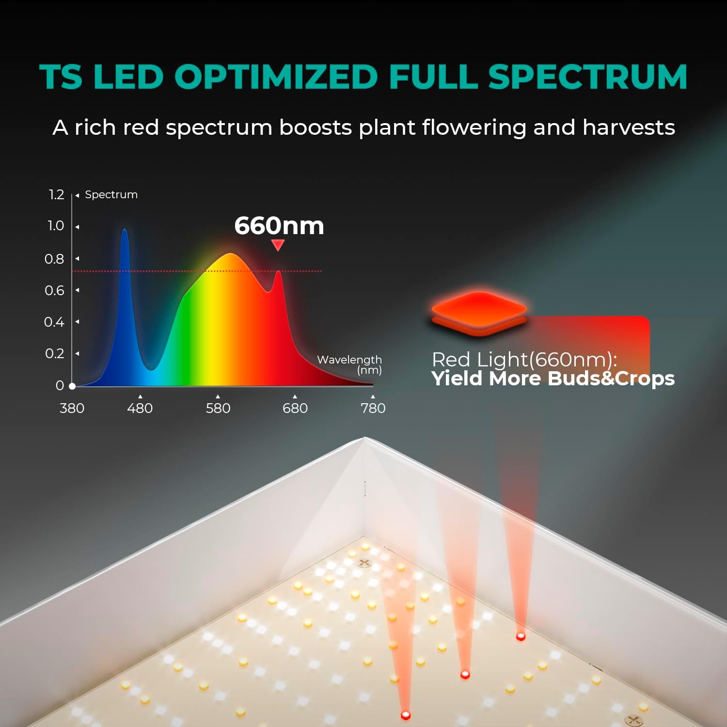 MARS HYDRO 2024 New TS1000 150W LED Grow Light for Indoor Plants, Patented Reflector Dimmable Lights Daisy Chain Full Spectrum Growing Lamps for Seedlings Veg Bloom in 2x2/3x3 Grow Tent