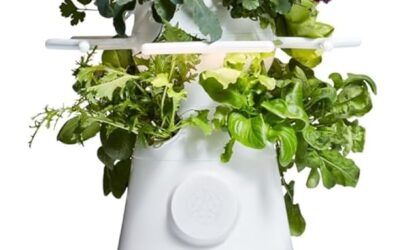 New! Lettuce Grow Farmstand Nook Review