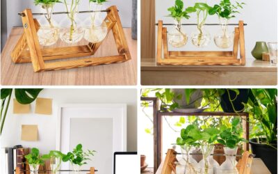 Propagation Stations Review