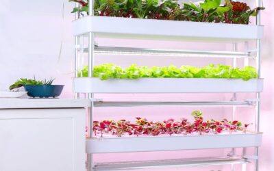 TAHALI Indoor Garden Hydroponic System Review