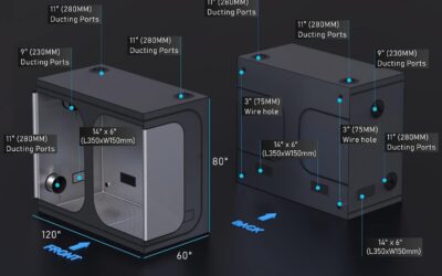 Big Sized Indoor Grow Tent Review