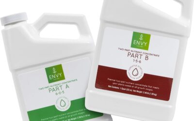 ENVY Part A & B Review