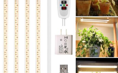 Plant Lights for Indoor Plants Review