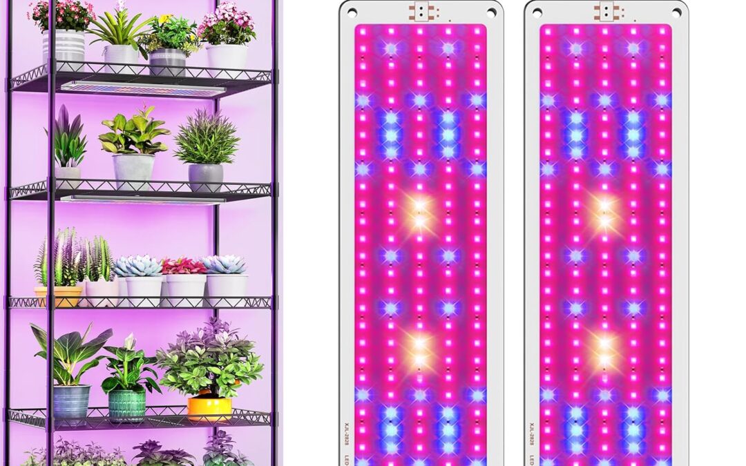 Grow Light Review