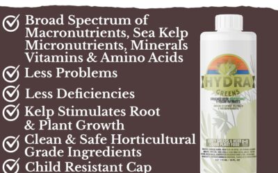 HydraGreens Indoor Plant Food Review