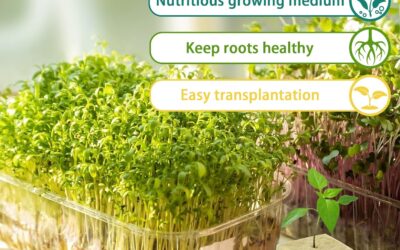 Legigo Rockwool Cubes Review