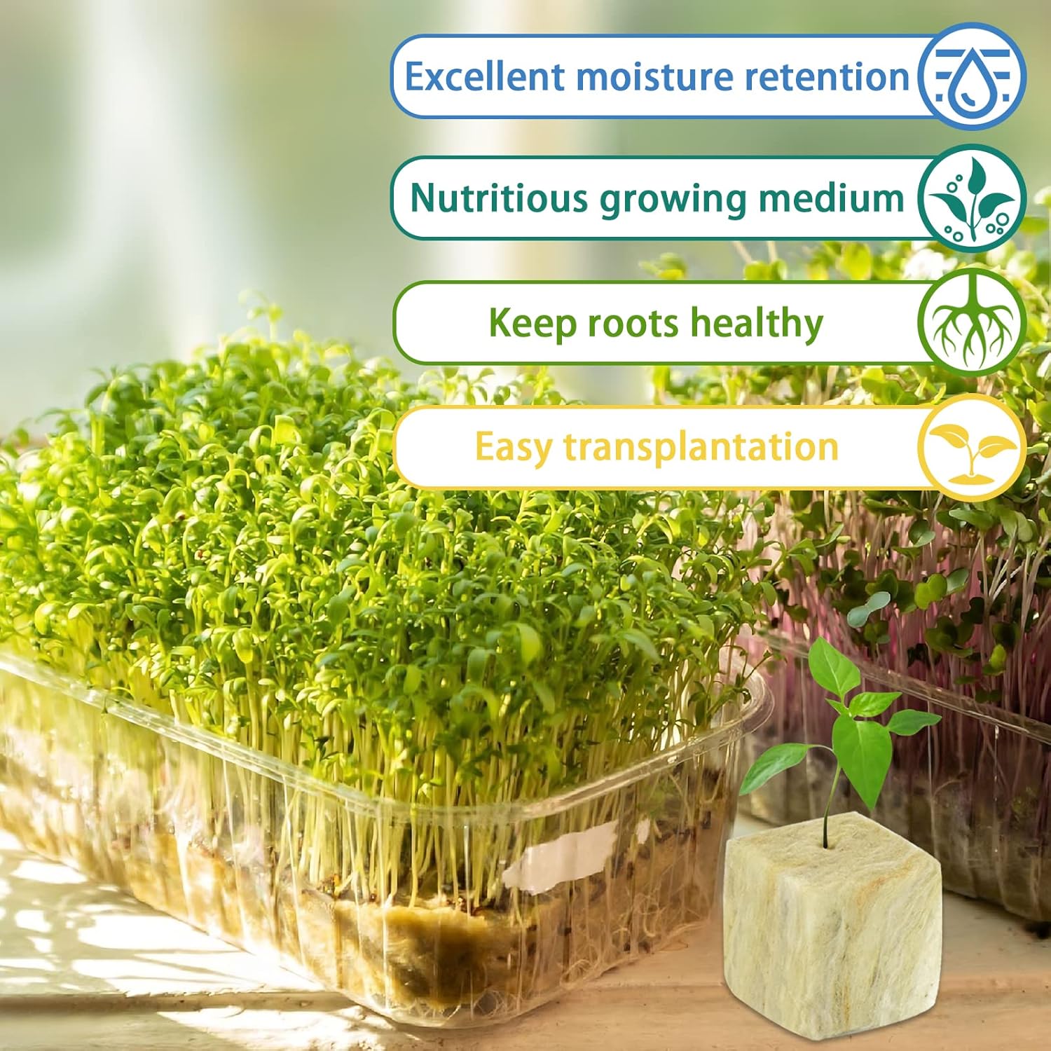 Legigo 1 Inch Rockwool Cubes Seed Starter Grow Cubes for Hydroponics, Rock Wool Planting Cubes Clone Cubes Soilless Cultivation Hydroponics Pods for Garden Plants Germination (2 Sheet, 100 Plugs)