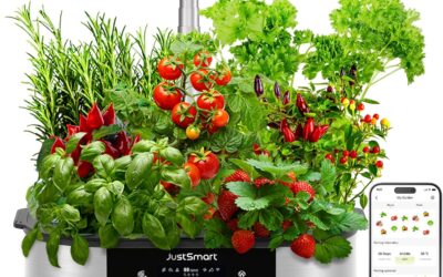 Litake WiFi 12 Pods Hydroponics Growing System Review