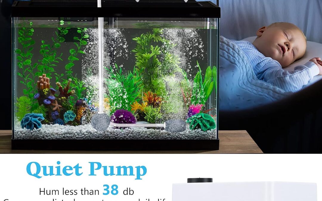 MingDak Aquarium Air Pump Kit Review