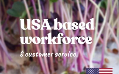 Re-usable Self-Watering Mini Microgreens Growing Trays Review