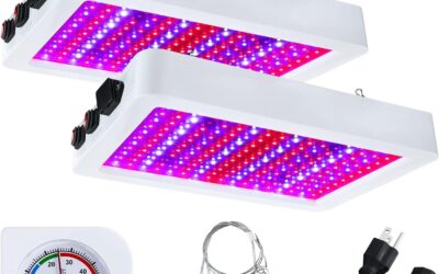 2 Pack 1000w LED Grow Lights Review