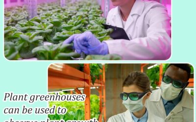 4 Pcs LED Grow Room Glasses Review