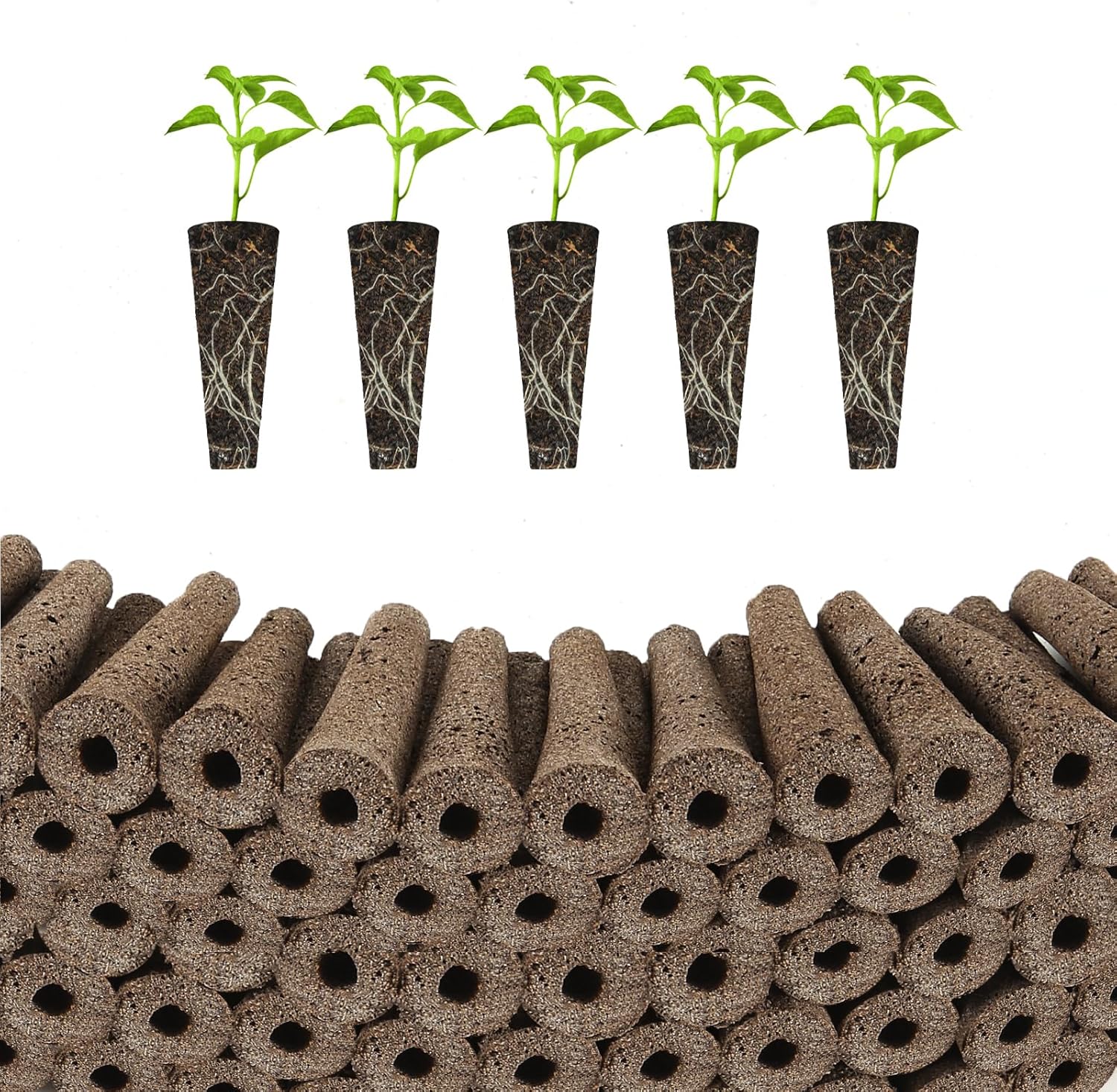 AFFLAT 50 Packs Grow Sponges,Seed Pods Replacement Root Growth Sponges Compatible with Most Hydroponics Garden,Moldy-Free,Seedling Starter Sponges for Hydroponic Indoor Garden System