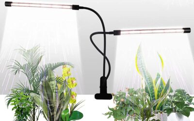 GHodec Grow Light Review