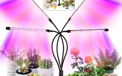 Grow Light for Indoor Plants Review