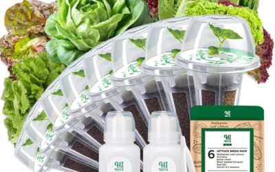 Lettuce Seed Pods for AeroGarden Review