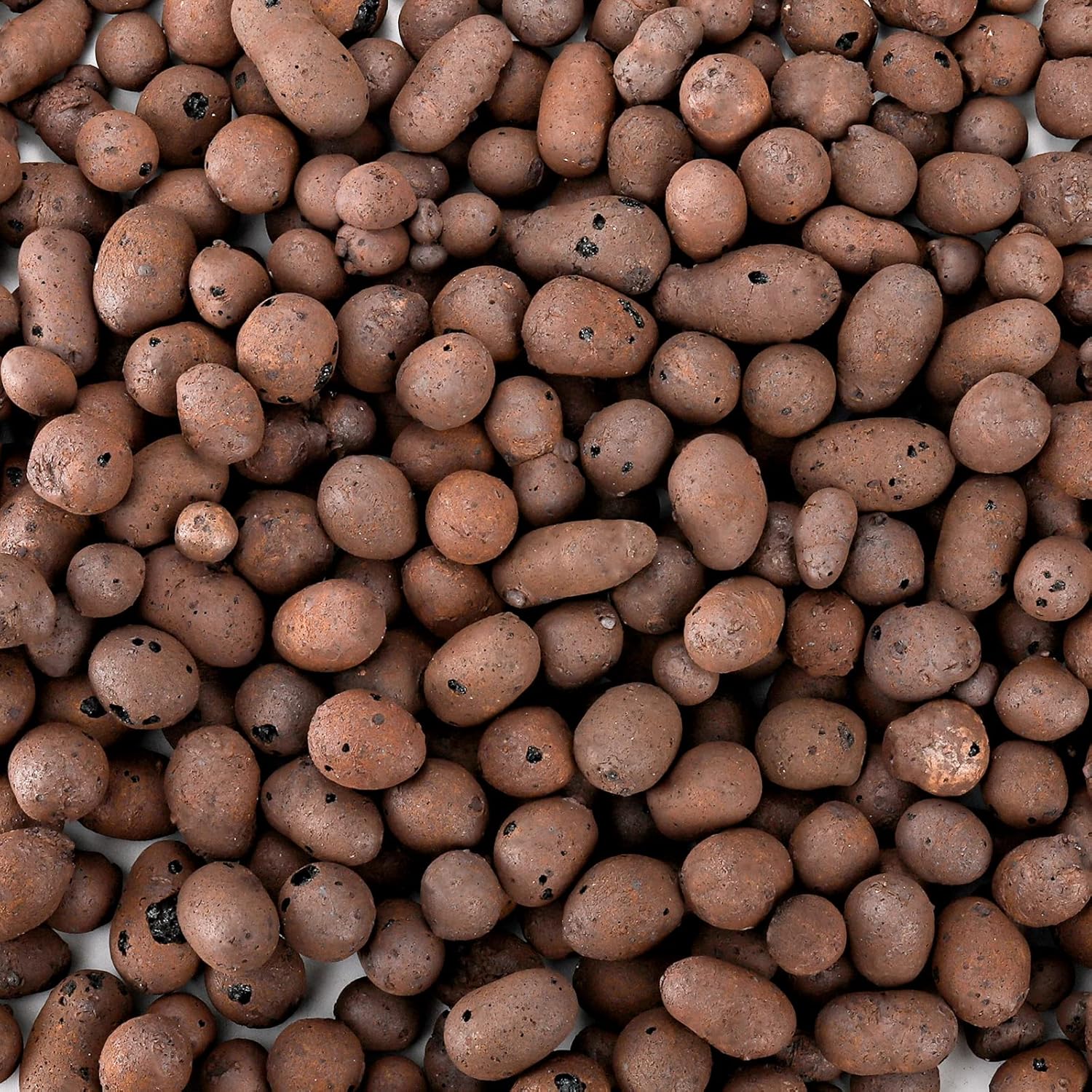 Okllen 6.5 LBS Organic Expanded Clay Pebbles, 11-14mm Hydroponic Drainage Organize Rocks, Ceramsite Grow Media for Potted Plants, Orchids, Aquaponics and Other Gardening Essentials, Leca for Plants