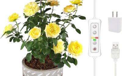 Plant Grow Light Yadoker Review