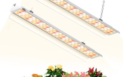 SZHLUX Grow Light 2FT 80W Review