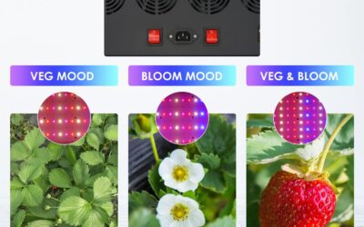 Upgraded 600W LED Grow Light Review