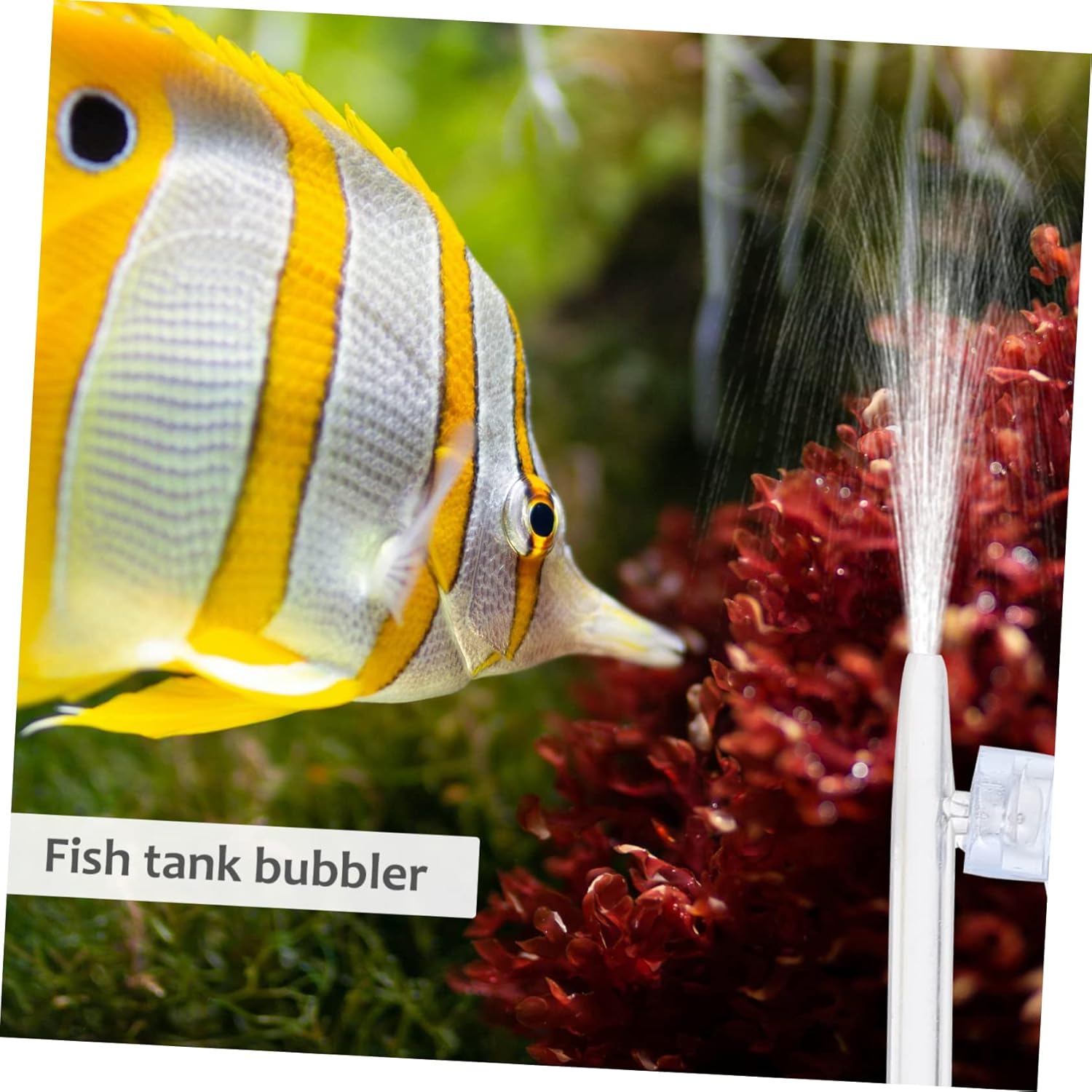 BESPORTBLE Fish Tank Nano Fish Tank Pump Tiny Fish Tank Air Pump Hydroponic Air Pump Fish Tank Air Air Diffuser Fittings Stone for Hydroponic Resin Aquarium White Equipment