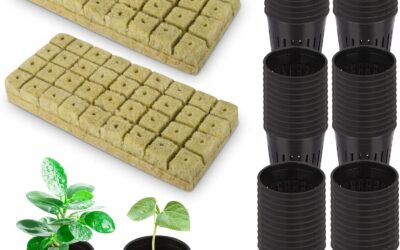 72 Sets Rockwool Cubes and Net Pots Review