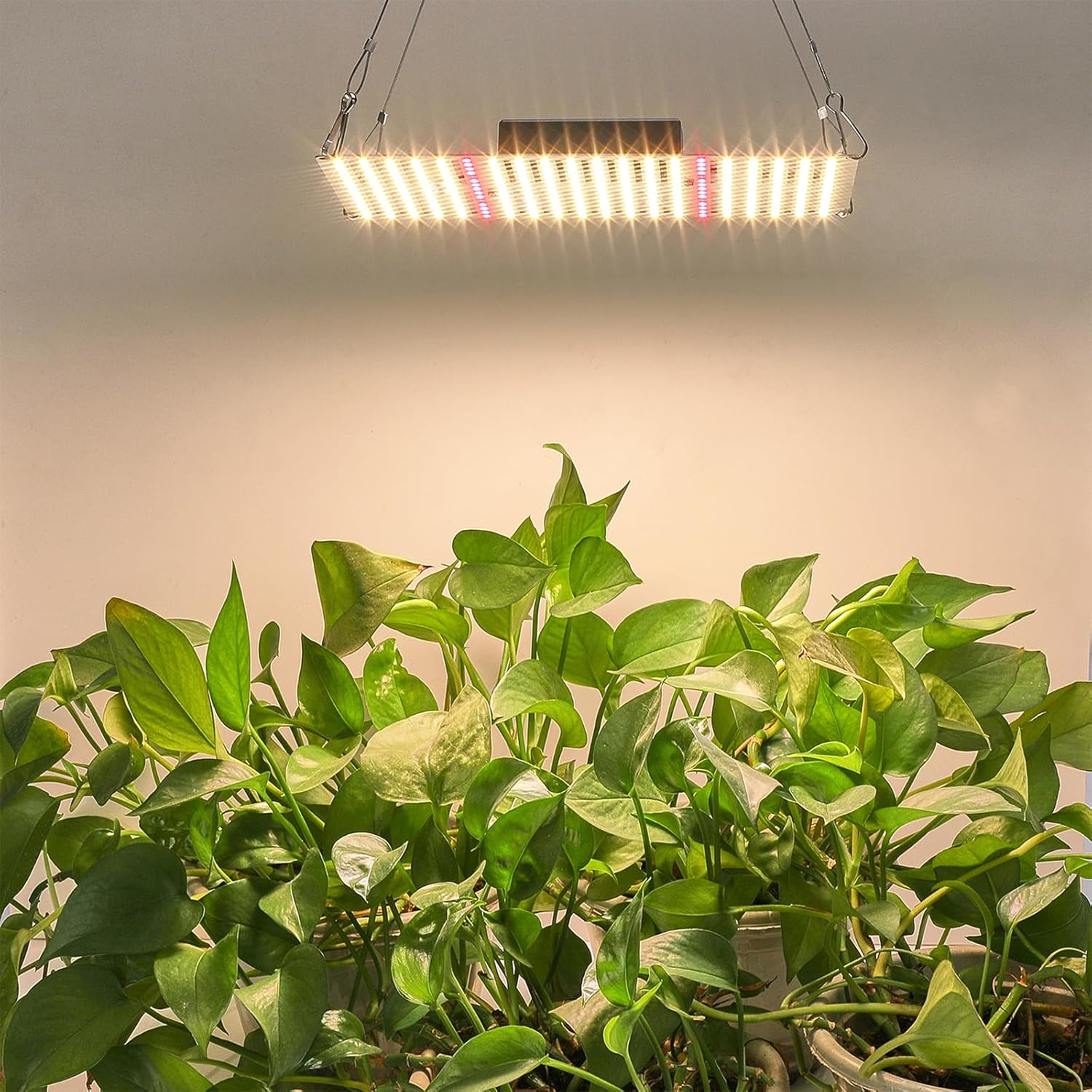 ARKNOAH Plant Growing Lamps GL1000 for Indoor Plants Growth with Optimal Full Spectrum UV/IR Included, Desk Hanging Grow Lamps with 300pcs Diodes for Hydroponics Growing