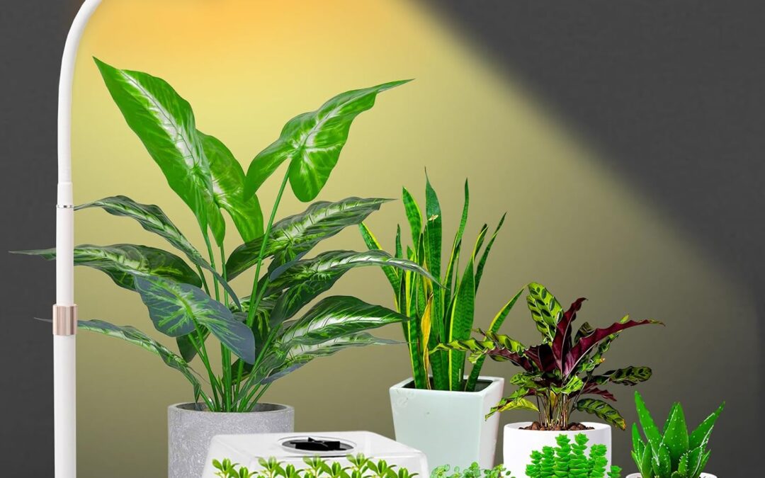 Desk Grow Lights for Indoor Plants Review